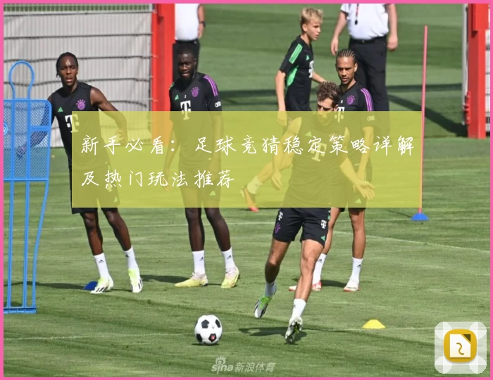 新手必看：足球竞猜稳定策略详解及热门玩法推荐