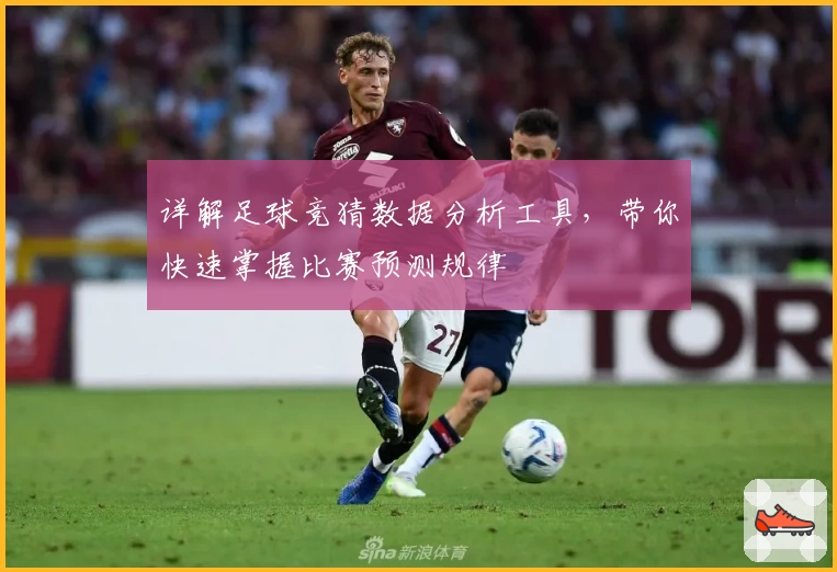 详解足球竞猜数据分析工具，带你快速掌握比赛预测规律
