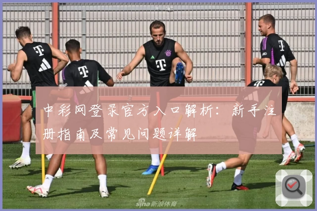 中彩网登录官方入口解析：新手注册指南及常见问题详解