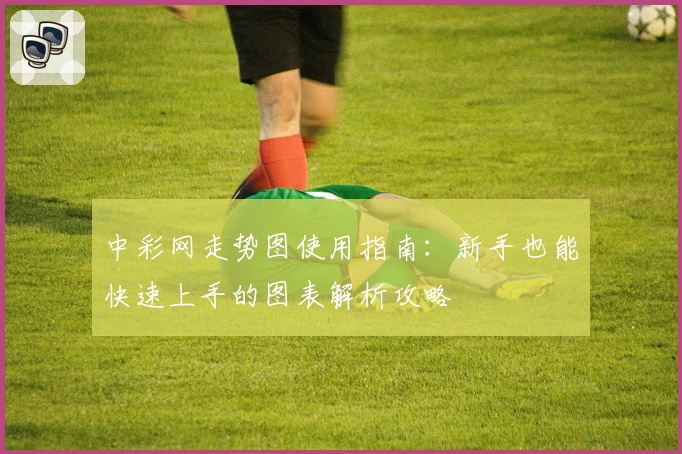 中彩网走势图使用指南:新手也能快速上手的图表解析攻略