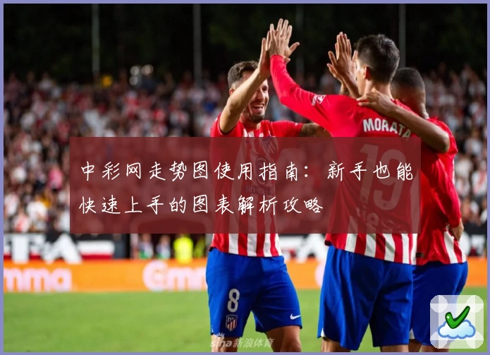 中彩网走势图使用指南：新手也能快速上手的图表解析攻略