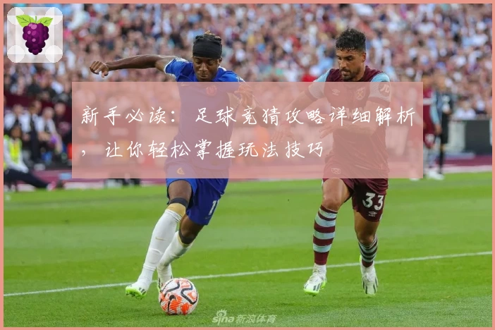 新手必读:足球竞猜攻略详细解析,让你轻松掌握玩法技巧